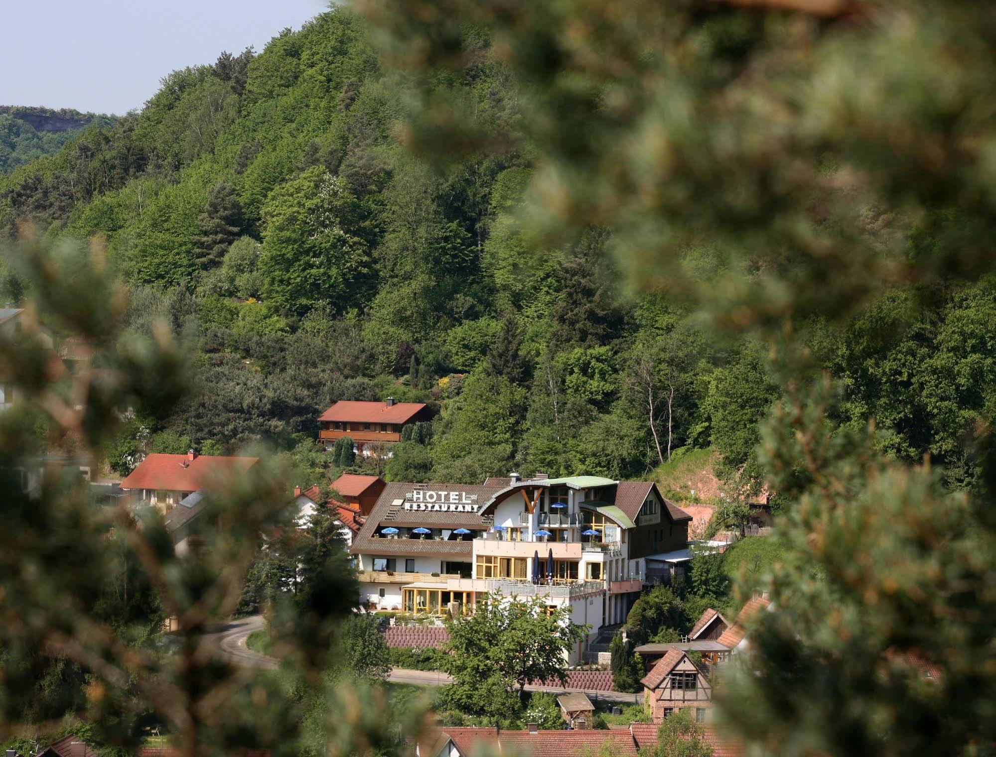 Hotel Am Hirschhorn - Wellness - Spa - And More Wilgartswiesen Exterior photo